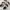 Birkenstock Casual Sandals & slide Wanita white photo 2