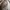 Birkenstock Casual Sandals & slide Wanita white photo 6