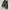 Converse Casual Sneakers Pria black photo 1
