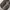 ZARA Streetwear Y2K Skirt Wanita brown black photo 2