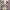 Takeo Kikuchi Streetwear Fleece Wanita multicolor photo 1