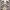 Takeo Kikuchi Streetwear Fleece Wanita Multicolor