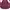 Goth Emo T-shirt Wanita burgundy photo 4