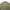 Rodeo Crowns Minimalist Futurist Denim jacket Pria green photo 8