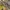 Wrangler Y2K Reworked Jeans Pria multicolor photo 3