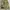 Wrangler Y2K Reworked Jeans Pria multicolor photo 8