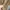 GAP Vintage Streetwear Parka Pria tan photo 5