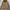GAP Vintage Streetwear Parka Pria tan photo 1
