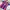 Nike Vintage Sportswear Jersey Pria navy red photo 2