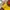 Ellesse Vintage Y2K Puffer jacket Pria yellow photo 6
