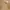 Norton Motorcycles Vintage Streetwear Casual shirt Pria tan photo 2