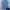 GAP Minimalist Polo shirt Pria blue photo 1