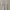 Minimalist Casual Polo shirt Pria white photo 4
