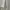 Minimalist Casual Polo shirt Pria white photo 3