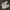 Nike Streetwear Casual Sneakers Pria white black photo 2