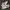 Nike Streetwear Casual Sneakers Pria White Black