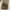 Luxury Formal pants Pria brown photo 4
