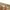 Houston Inc Vintage Biker Tracksuit Pria tan cream photo 5