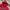 Kappa Sportswear Windbreaker Kids red photo 4