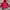 Kappa Sportswear Windbreaker Kids red photo 5