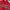 Kappa Sportswear Windbreaker Kids red photo 3