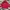 Kappa Sportswear Windbreaker Kids Red