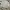 Casual Polo shirt Pria multicolor gray photo 2