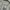 Casual Polo shirt Pria multicolor gray photo 4