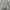 Casual Polo shirt Pria multicolor gray photo 3