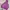 Nike Casual Hoody Wanita Purple