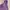 Casual Hoody Pria Purple