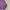Casual Hoody Pria purple photo 3
