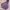 Casual Hoody Pria purple photo 1