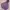 Casual Hoody Pria Purple