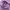 Casual Hoody Pria purple photo 4