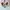 Adidas Streetwear Casual Sneakers Wanita pink photo 5
