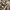 Vintage Midi dress Wanita tan photo 2