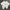 Spao Vintage T-shirt Pria white photo 1
