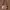 Coach Vintage Y2K Shoulder Bag Wanita Brown