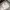 Nike Air Jordan Streetwear Casual T-shirt Pria white photo 1