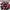 Puma Sportswear Casual Sneakers Pria red photo 1