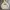 GAP Minimalist Hoody Pria white cream photo 1