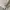 GAP Minimalist Hoody Pria white cream photo 2