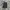 Uniqlo Vintage Streetwear Jeans Pria black gray photo 1