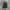 Uniqlo Vintage Streetwear Jeans Pria Black Gray