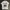 Gorpcore Grunge T-shirt Pria white photo 1