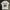 Gorpcore Grunge T-shirt Pria White