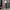 Dickies Streetwear Skater Casual pants Pria green photo 7