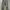 Vintage Y2K Jeans Pria gray photo 4