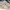 Puma Streetwear Sportswear Sneakers Wanita white cream photo 1